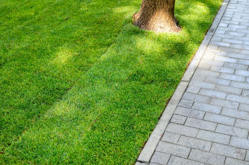 Paved Landscaping